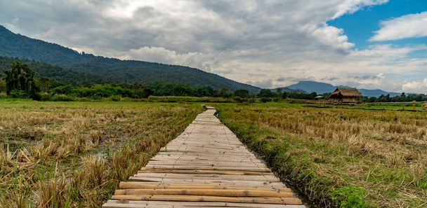 Tayland 'ın pirinç tarlasında dağ ve kara bulutlu bambu köprü - Fotoğraf, Görsel