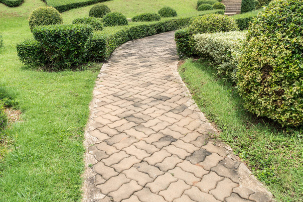 Concrete pathway with trimmed plants in the park - Photo, Image