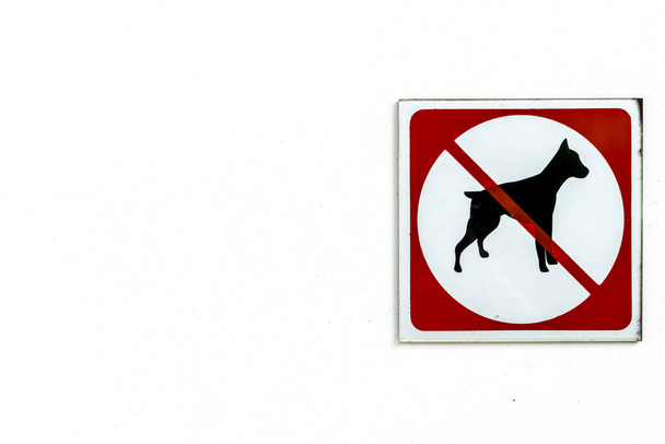 Köpekler beyaz beton duvara imza atamaz. - Fotoğraf, Görsel