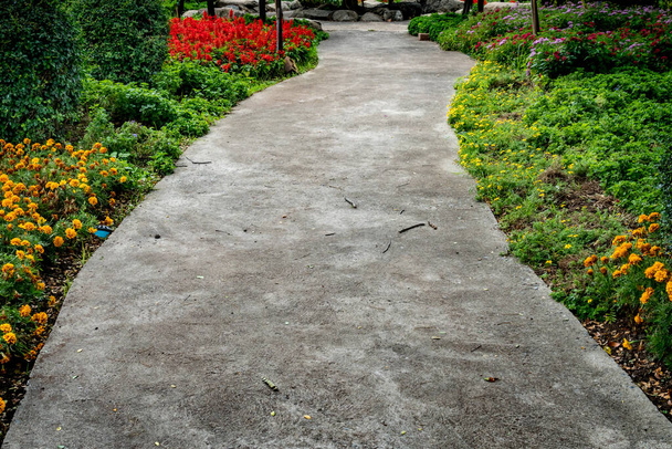 Concrete pathway  with green trimmed bush in the park - Photo, Image
