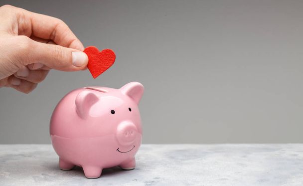 Donor. A man holds a red heart in his hand and goes to the piggy bank as a donation. Gray background - Φωτογραφία, εικόνα