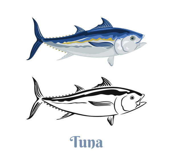 Ilustración del color del vector del atún y contorno en blanco y negro. Pescado plano de dibujos animados. Icono de mariscos. - Vector, Imagen
