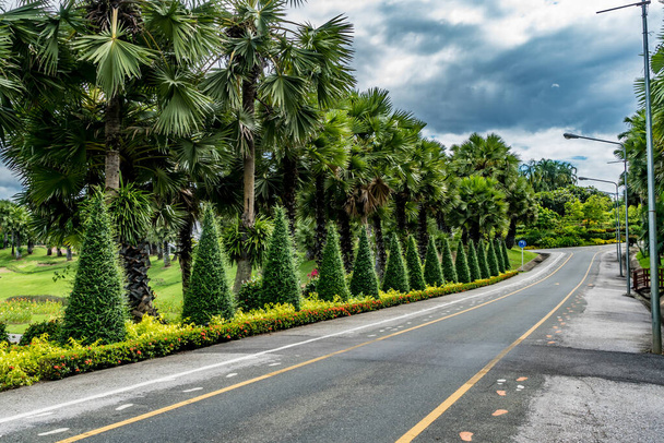Όμορφος ασφαλτοστρωμένος δρόμος με πράσινα δέντρα στο πάρκο - Φωτογραφία, εικόνα