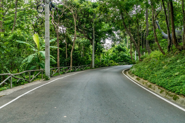 Δρόμος ασφάλτου με πράσινο τροπικό δάσος στην ύπαιθρο της Ταϊλάνδης - Φωτογραφία, εικόνα