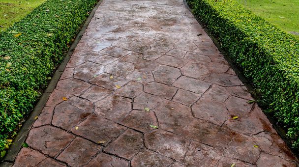 Ścieżka betonowa z przyciętymi roślinami w parku - Zdjęcie, obraz