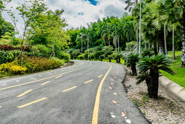 Όμορφος ασφαλτοστρωμένος δρόμος με πράσινα δέντρα στο πάρκο - Φωτογραφία, εικόνα