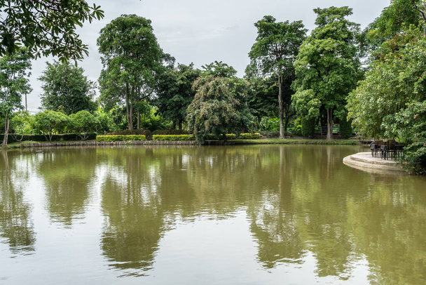 Jardín verde tropical con lago - Foto, Imagen
