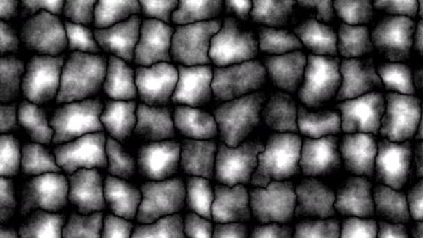 Panning Over Abstract Cellulair Terrein Gegroepeerde Cellen - Video
