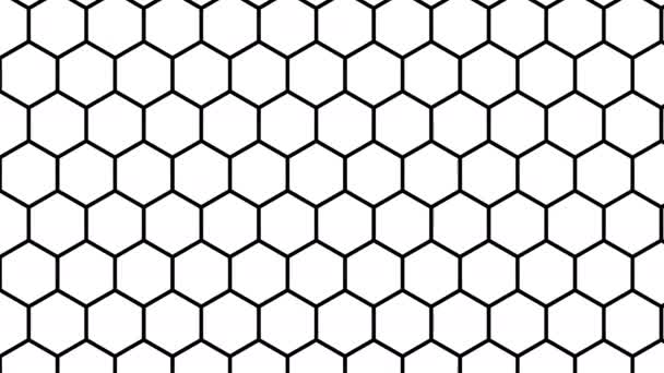 Máscara de fuga hexagonal Boldening líneas finas - Imágenes, Vídeo
