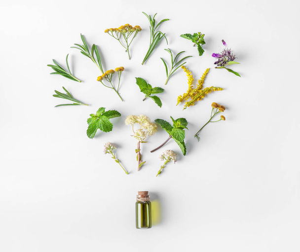 Top view of ingredients of organic essential aroma oil isolated on white background. Top view. Herbal medicine concept. - Zdjęcie, obraz