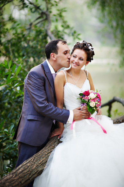 Romantique baiser mariée et marié
 - Photo, image
