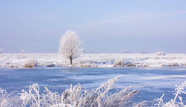 Beautiful winter landscape with snow covered trees. meadow and river in winter - Photo, Image