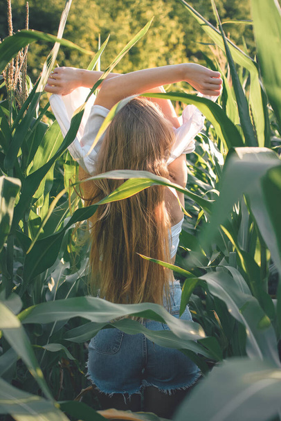 Sensibilité à la nature, célébration de la vie concept des petits moments. Jeune femme appréciant la nature dans le champ de maïs. - Photo, image
