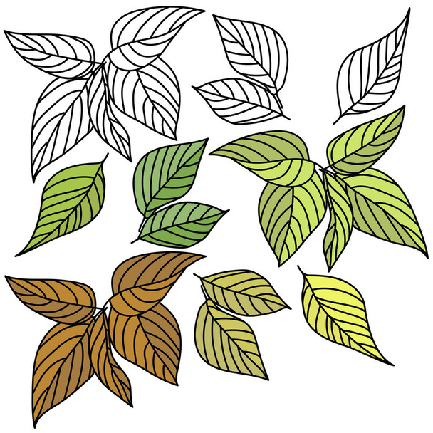 Set of leaves and twigs with clear veins, contour drawing for coloring and painted leaves, green and yellow leaves, vector illustration for design and creativity - Vektori, kuva