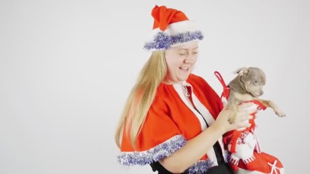 犬を連れた少女の肖像。クリスマスまたは新年 - 映像、動画