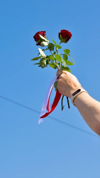 Hand mit weiß-rot-weißem Band und roten Rosen auf Himmelshintergrund. Friedlicher Protest in Weißrussland nach den Präsidentschaftswahlen in Minsk, Weißrussland - Foto, Bild