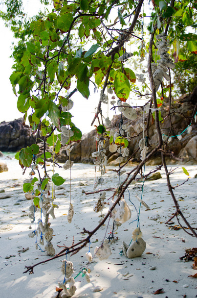 Concha de sino móvel sobre o oceano na Tailândia
 - Foto, Imagem