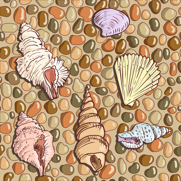 Seashells on the seashore - Вектор,изображение