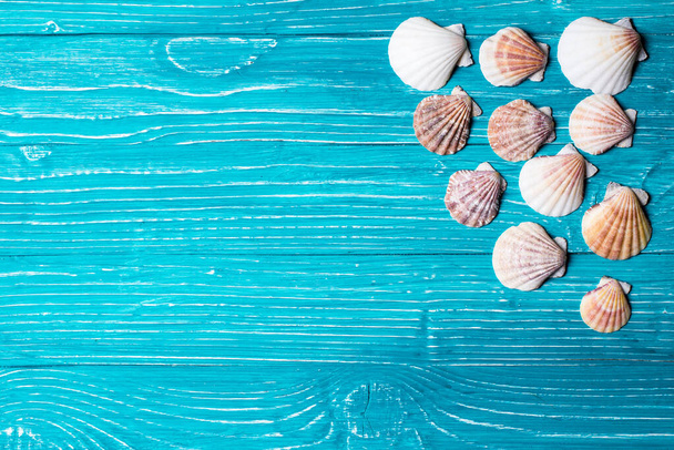 Seashells na niebieskim drewnianym tle - Zdjęcie, obraz