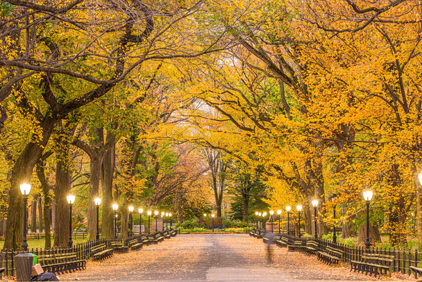 Central Park au Mall à New York en automne. - Photo, image