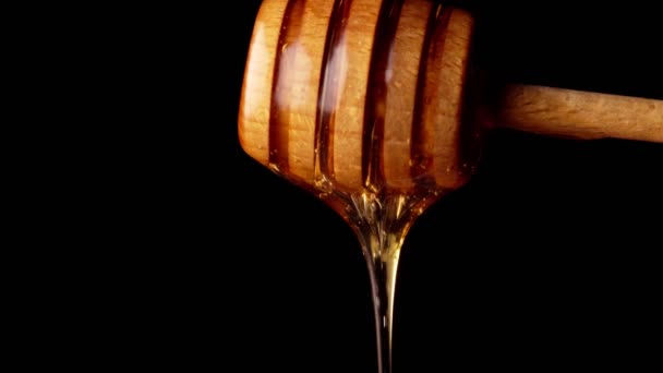 Miel que gotea del tarro de miel de madera sobre fondo negro. - Imágenes, Vídeo