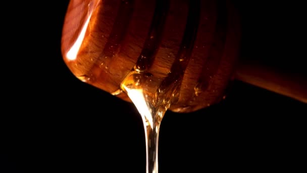 Miele gocciolante da tuffatore miele di legno su sfondo nero. - Filmati, video