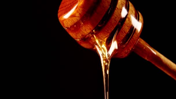 Honing druipt van houten honing dipper op zwarte achtergrond. - Video