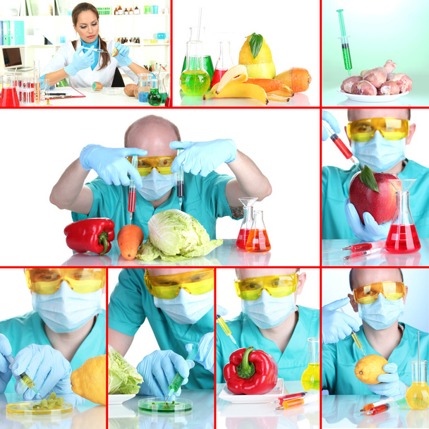 Genetic engineering laboratory. GMO food concept - Foto, Imagem