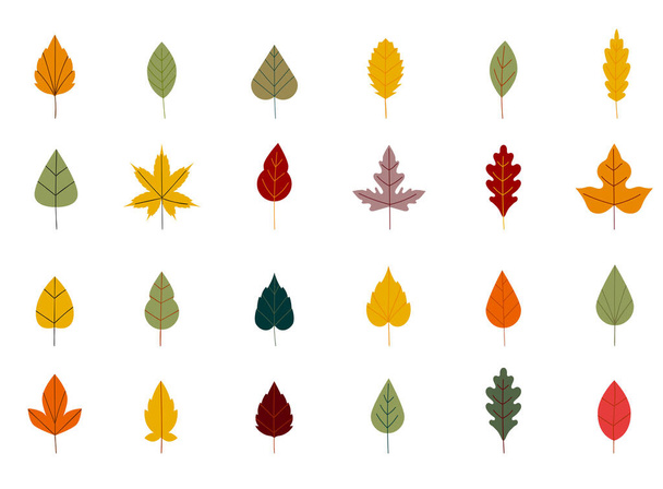 Colección hermosas hojas de otoño de colores aislados sobre fondo blanco. Simple estilo plano de dibujos animados. Hojas de otoño de arce, roble, abedul. Elemento de diseño floral. - Vector, imagen