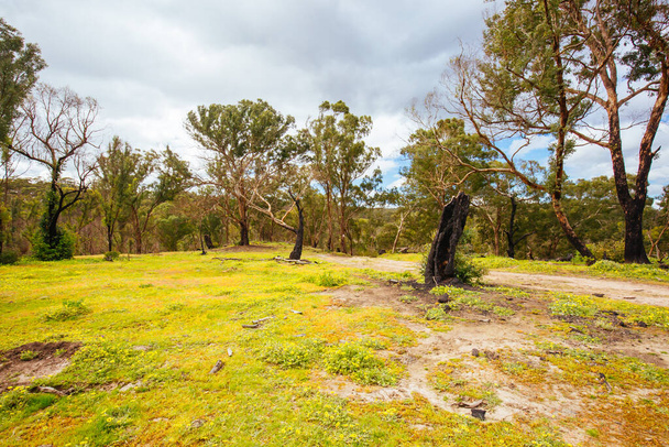 Plenty Gorge Parklands en Australia - Foto, Imagen