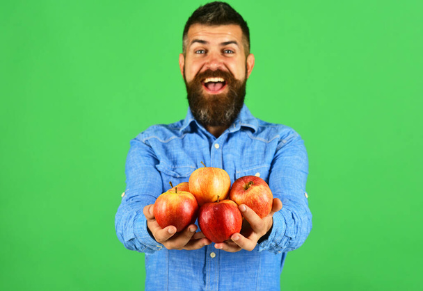 Man with beard holds red fruit isolated on green background - Foto, Bild