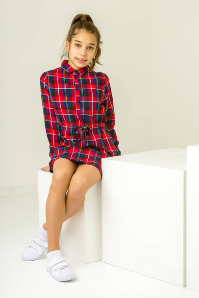 Little girl poses for a magazine in the studio on a white cube. - 写真・画像