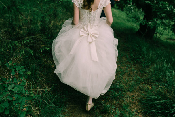 Krásná nevěsta, luxusní svatební šaty, ráno svatby - Fotografie, Obrázek