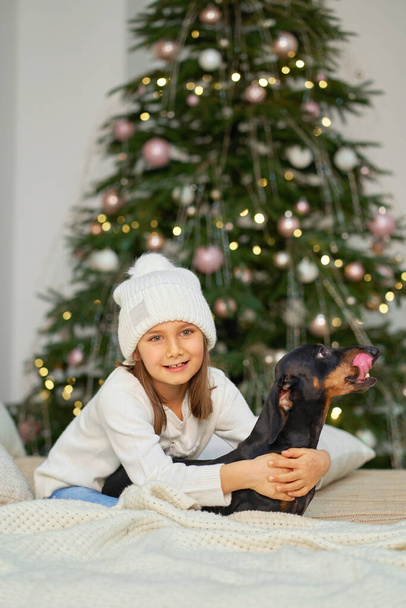 Happy childhood, Christmas magic fairy tale. A little girl is laughing with her friend, a dachshund dog, near the Christmas tree. - 写真・画像