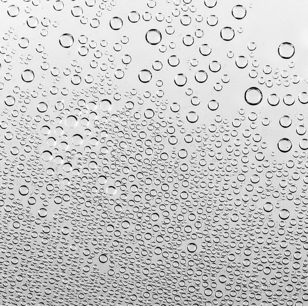 Gocce d'acqua su bianco e nero
 - Foto, immagini