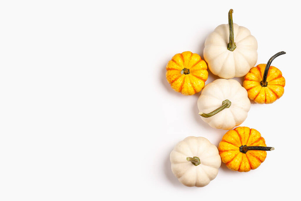 Close up shot of hooligan and baby boo pumpkins isolated on bright background as a symbol of autumnal holidays with a lot of copy space for text. - Zdjęcie, obraz