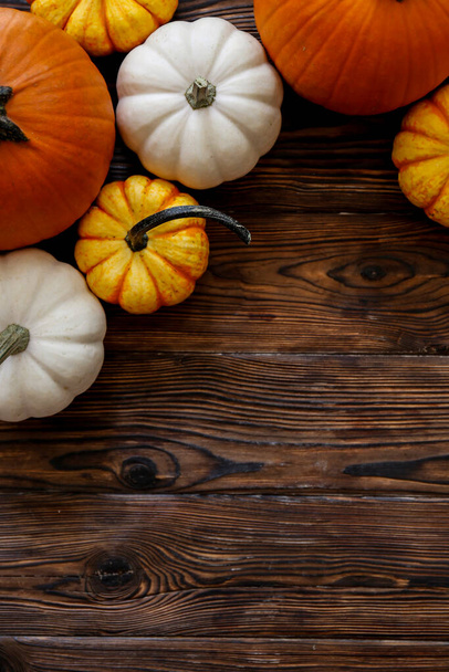 Close up shot of two decorative pumpkins on grunged wood texture background bright as a symbol of autumnal holidays with a lot of copy space for text. - Photo, image