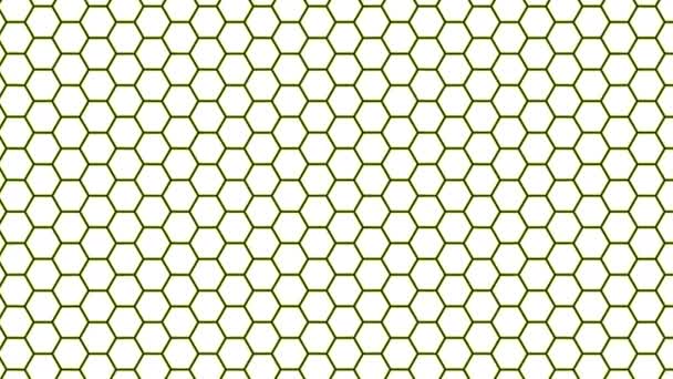 Einfache Clean Hexagon Grid Mask Hive Net - Filmmaterial, Video