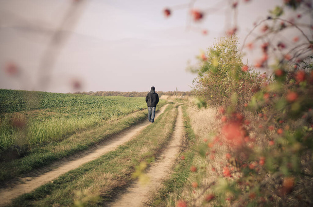 nostalgiczny jesienny dzień ze smutnym mężczyzną odchodzącym pośród pustych łąk na pięknej wsi - Zdjęcie, obraz