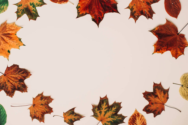 Autumn frame made of leaves on white background, copy space. Flat lay, top view. Autumn, fall, thanksgiving day concept - Photo, image