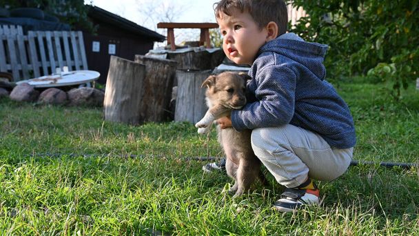 el niño lleva un pequeño cachorro en sus brazos. Foto de alta calidad - Foto, imagen