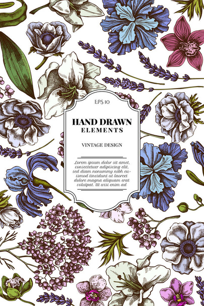 Card design with colored anemone, lavender, rosemary everlasting, phalaenopsis, lily, iris - Vektör, Görsel