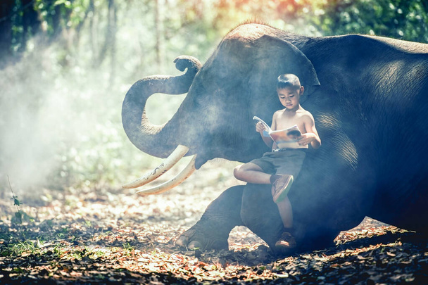 Дети со слоном, мальчик, читающий книгу на спине слона. - Фото, изображение