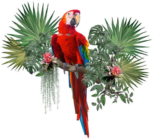 Dibujo ilustrado poligonal vectorial de pájaro guacamayo escarlata con plantas de la selva amazónica en fondo blanco. - Vector, Imagen