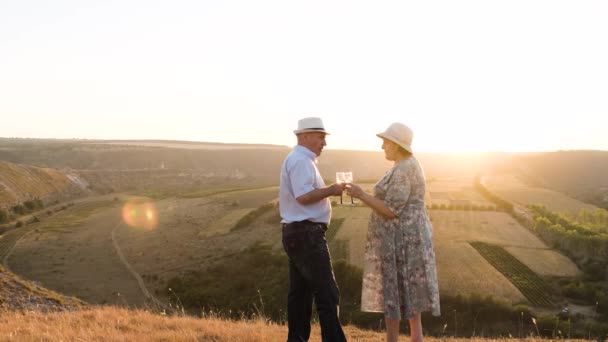 Elderly couple on the top of the hill, cheer glasses of champagne at the sunset. - Footage, Video