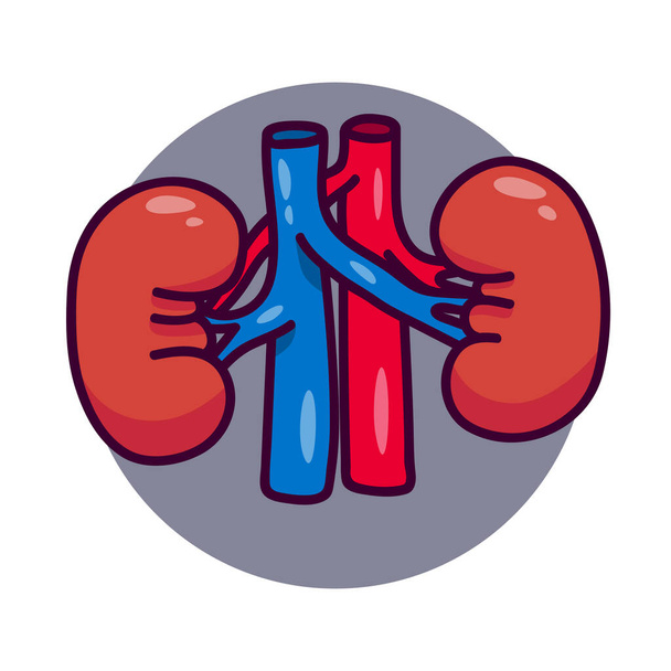 Людські нирки в мультиплікаційному стилі. Логотип або значок людської нирки для медицини. На білому тлі є місце для напису. Фільтр крові людини
 - Вектор, зображення