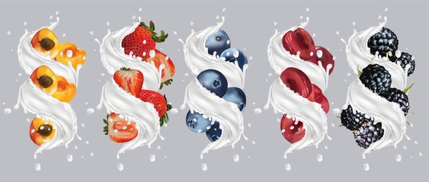 Milk splash on fruit and berry. Realistic apricot, strawberry, black raspberry, blueberry, cherry. Tasty fruit yogurt. Vector illustration - Vector, Image