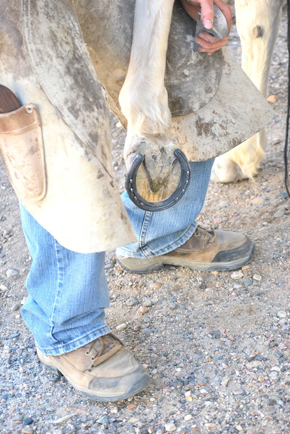 Male farrier. - Photo, Image