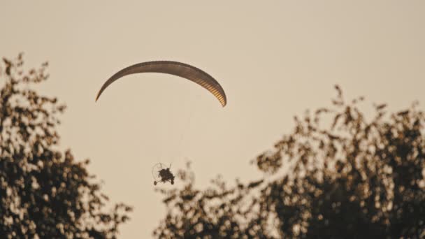 Tandem Paramotor Gliding - dos hombres volando y deslizándose en el aire por encima de los árboles. Siluetas - Imágenes, Vídeo