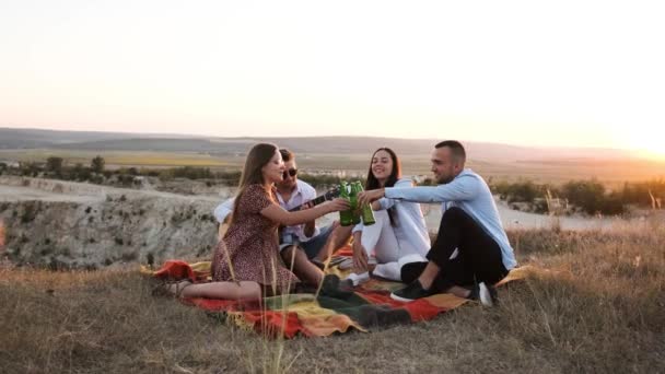 Vier vrienden op de zomerpicknick juichen met bier en glimlachen. - Video